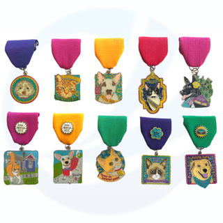 Customare personalizzata per animali randagi, gatti e cani, medaglia d'onore del carnevale