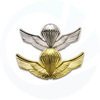 Distintivo della polizia militare in bronzo grande oro