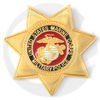 Pin del badge della polizia militare degli Stati Uniti